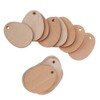 50 Pcs 5cm Unfinished Wooden Oval Cutouts, Blank Wood Pieces