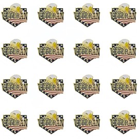 TANG SONG 16 Pcs White Eagle American Flag Lapel Pins Solid Metal USA Flag Lapel Pins Badge Pins Brooch for Suit Jacket