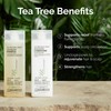 GIOVANNI Tea Tree Triple Threat Invigorating Shampoo & Conditioner Set
