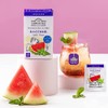 Ahmad Tea Herbal Tea, Cold Brew Watermelon & Mint Teabags,