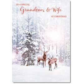 doodlecards Grandson and Wife Christmas Card Deers in Forest Medium Size Christmas Card for Grandson & Wife with Plain Envelope
