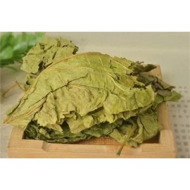IntotheNature Shuang Sang Ye 霜桑叶 /桑葉/ Morus Alba/ 16oz