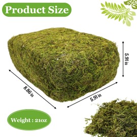 Riare 1.3LBS Artificial Fake Moss for Fake Plants Indoor- Premium Faux Craft Moss for Potted Plant, Fresh Green Moss Forest Moss for Hamsters Micro-Landscape Terrariums Centerpieces Decor