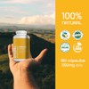 BULK SUPERFOODS Maca Orgánica 100 Natural Suplemento Alimenticio