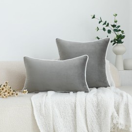 LIGICKY Set of 2 Grey Velvet Throw Pillow Covers Modern Minimalist Style Solid Decorative White Rope Edging Soft Square Cushion Cases for Sofa Bedroom Party Décor, 24 x 24 inch