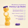 FRUDIA Blueberry Honey Lip Balm, Exfoliating & Moisturizing Dewy Korean