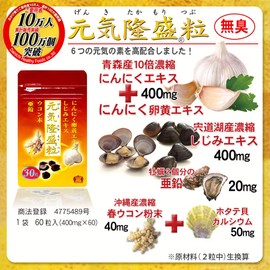 大日ヘルシーフーズ 元気隆盛粒 30粒入 2袋 にんにく卵黄 しじみ ウコン 亜鉛 配合 糖衣粒タイプ サプリ