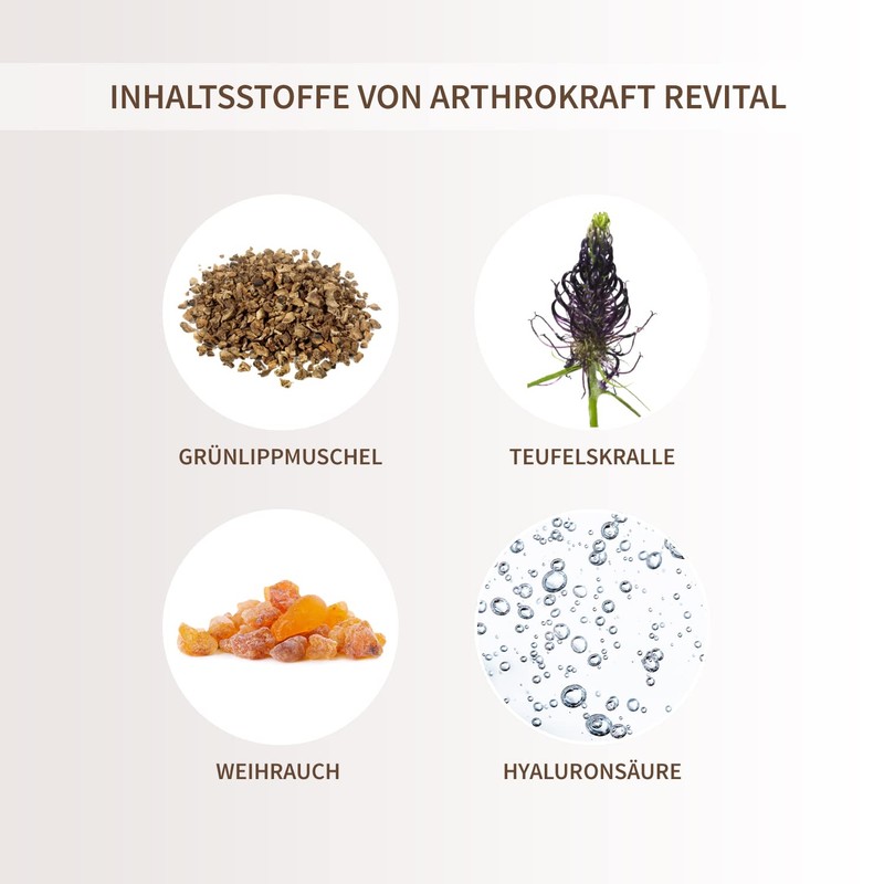 BodyFokus ArthroKraft Revital, 19-fold complex including collagen, MSM, glucosamine and