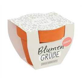 Grafik-Werkstatt Flower Greetings Summer Flower Mix | Mini Terracotta Potty with Seeds | Alles Liebe (Alles Liebe, Orange)