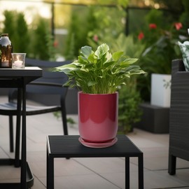 SUNPOTFOR Ceramic Pot for Plants - 8 Inch Plant Pot Indoor with Drainage Hole and Saucer Cylinder Flower Pot for Indoor Outdoor Plants Home Patio Office Decor Red