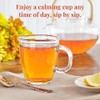 The Republic of Tea Classic - Té de hierbas