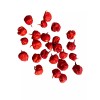 Homemade Super hot pepper powder 1 oz. reaper, moruga, dragon's