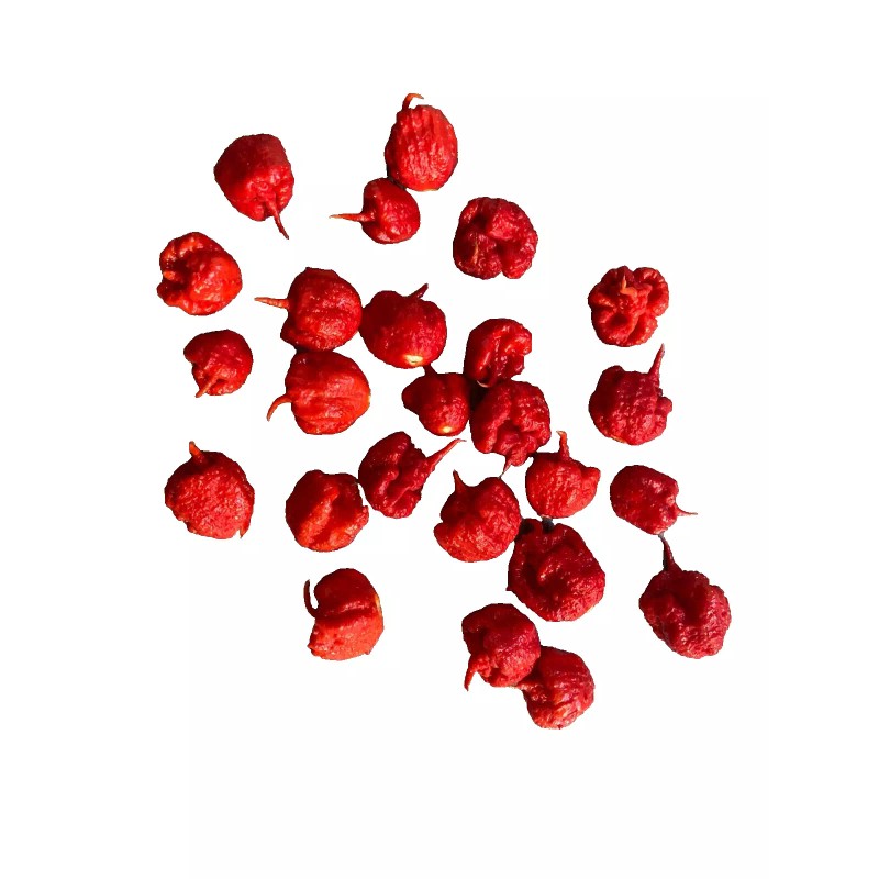 Homemade Super hot pepper powder 1 oz. reaper, moruga, dragon's
