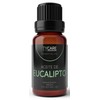 Aceite Esencial de Eucalipto (Eucalyptus Globulus) - 100% PURO PREMIUM
