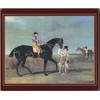 Lady Clare Traditional Coasters Racehorses