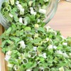 Dried Scallions 2.1oz. Dehydrated Chopped Scallions And Dried Vegetables