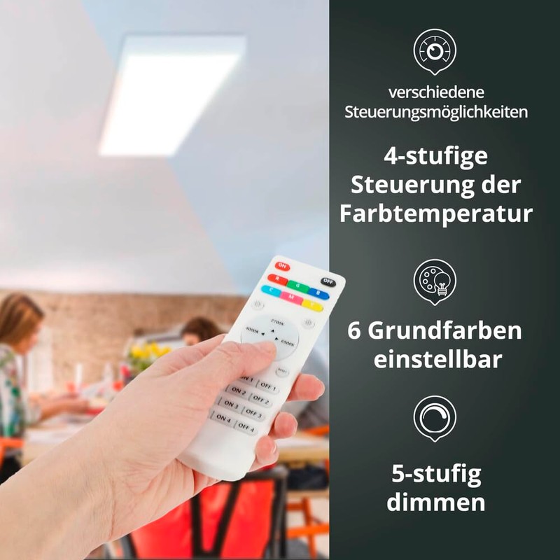 4-Zone Wireless Remote Control with Wall Mount for Alternative Control