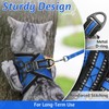 rabbitgoo Cat Harness and Leash Set for Walking Escape Proof,