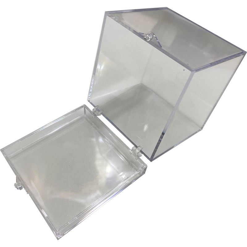 Mineral Case L Clear Type 2.7 x 3.0 x 2.7