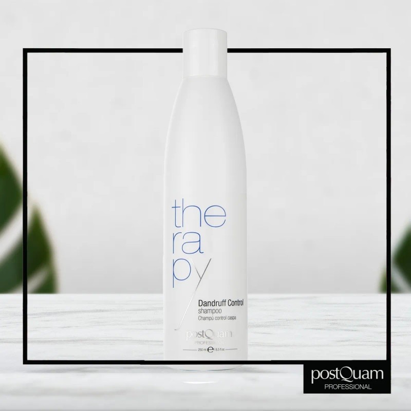Shampoo Control Caspa Therapy Piroctone Olamine 250 Ml