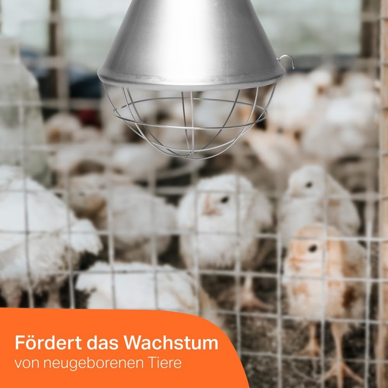 Rearing Light Heat Lamp Protection Basket with Cable and Plug