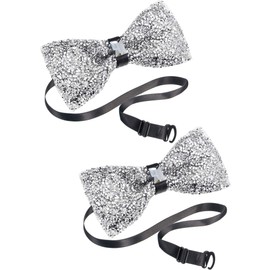 2 Pieces Rhinestone Bow Ties Banquet Bowties Men's Pre-tied Bow Ties for Wedding and Parties (Silver)