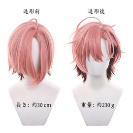 Akixen 久遠 舞珠 くおん ましゅ ウィッグ コスプレ アニメ ヘアネット ファッション プレゼント イベント ハロウイン クリスマス 耐熱性 変装 仮装 学園祭 文化祭 お祭り