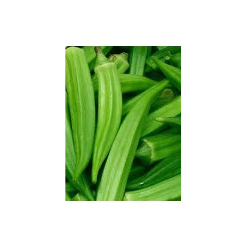 Okra, Clemson Spineless Seeds