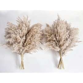 Pampas Grass Decor, Natural Dry Pampas Grass Small, Short Pampass Bulk for Farmhouse, Wall, Kitchen, Bedroom Decor, Office Decor (17 inch )