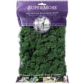 SuperMoss (21703) Reindeer Moss Preserved, Forest Green, 2oz