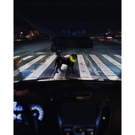 Joytale Light Up Dog Collar, Rechargeable Rainproof LED Collar for Night Walking Safety, Soft Silicone Glow in The Dark, Suitable for Small Medium Large Dogs, Yellow