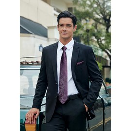 HISDERN Mens Solid Purple Paisley Wedding Tie Handkerchief Men's Necktie & Pocket Square Set For Wedding