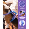 DF Freedom No Pull Martingale Dog Harness, Safety Control to