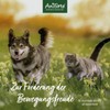 AniForte MSM Pulver für Hunde & Katzen 300 g –