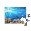 puzzleYOU: 48 Piece Underwater Scene with Coral Reef, Fish, Sharks,