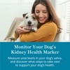 Petivity at-Home Kidney Health Test Kit for Dogs, Powered by