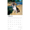 Boston Terriers | 2026 12 x 24 Inch (Hanging) Monthly