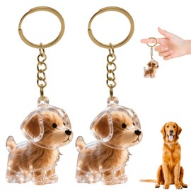 GNHG 2 Pieces Dog Hair Collector Keychains, Dog Hair Pendants, Fur Keepsake, Capsule Pendant, DIY Pet Storage Bottle, Creative Memorial Gift for Animal Lovers