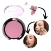 Bissu Rubor En Polvo De Larga Duración Para Maquillaje Tono