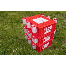 RentACoop Poultry Carrier Crate (Pack of 1) 29" L x 22" W x 12" H for Chickens
