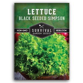 Black Seeded Simpson Lettuce Seed for Planting - 1 Packet with Instructions to Plant Easy to Grow Salad Greens in Your Home Vegetable Garden - Non-GMO Heirloom Variety - Survival Garden Seeds