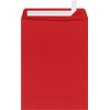 LUXPaper 9 x 12 Open End Window Envelopes | Peel