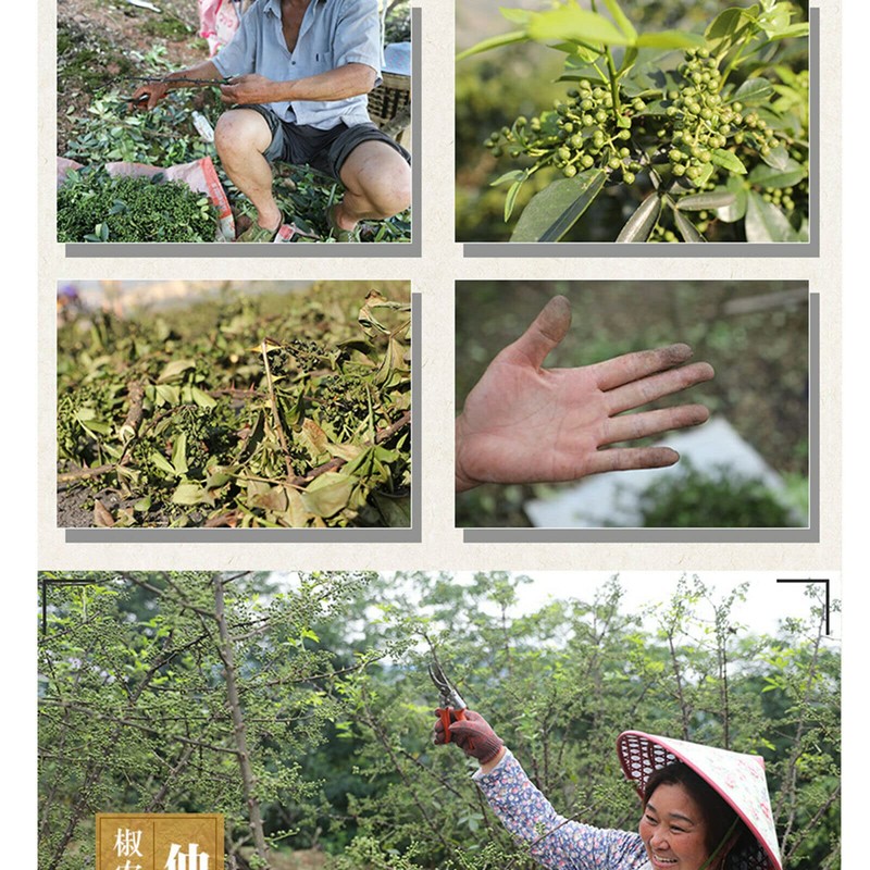 250g First Class Organic Sichuan Green Pepper for Cooking Dried