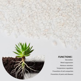 1/5 Inch White Natural Decorative Gravel, 2lbs - Perfect for Succulent Planters, Vase Fillers, Terrariums, Zen Gardens, and Small DIY Landscaping Projects, Adds a Clean and Natural Look