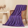 Aisbo Cuddly Fluffy Blanket Purple Fleece Blanket Warm Sofa Blanket