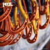 Petzl, Spirit Express, Light And Multipurpose Postponement, Orange/Black/Gray, 17Cm, Unisex