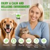Dog Pheromone Calming Diffuser–100% Natural Anxiety Relief for Dogs |