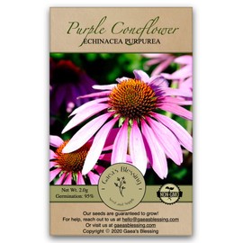 Gaea's Blessing Gaea's Blessing Seeds - Purple Coneflower Seeds (2.0g) - Echinacea Purpurea Non-GMO Seeds with Easy to Follow Planting Instructions - Open-Pollinated Heirloom, 95% Germination Rate