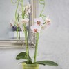 Orchid rod Blue Modern Design Plastic Crystal Green H 59