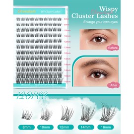 Obeyalash Wimpernverlängerung, Wispy C Curl, künstliche Wimpern, einzeln, Cluster Lashes Cat Eye 8 – 16 mm, natürlich, Lash Cluster, natürlicher Look, Clear Band, DIY, Eyelash, Extensions weich und